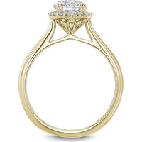 Round Brilliant-Cut Diamond Engagement Ring with Milgrain Marquise Halo in Yellow Gold by Noam Carver<em> - Choose Your Center Diamond: 1 to 5 Carats, Sustainable Lab-Grown or Natural Earth-Mined</em>