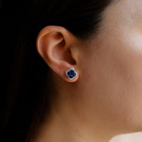 Ruchi New York - Clover Blue Sapphire Stud Earrings in 18K White Gold